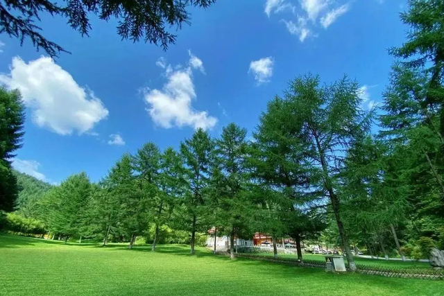 坐高铁游广元 | 今年夏天，为什么一定要宿进曾家山？
