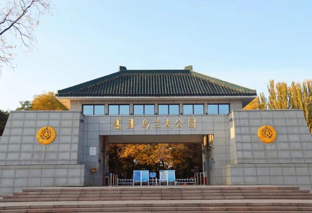 大一新生必冲！回民区文化漫游指南，解锁开学新体验