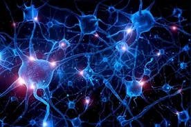 人类思维速度究竟有多快？加州理工：慢到你无法想象！图片