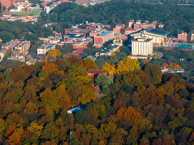 长沙岳麓山红枫如火