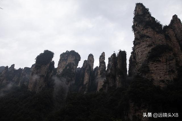 张家界国家森林公园的自然诗篇