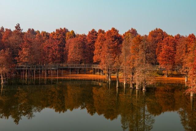 这才是江南秋天的天花板！浙江5大红叶秘境，带你走进古典水彩画