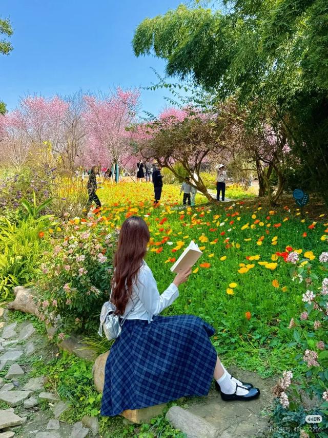 超值！植物园这片美人梅开men了