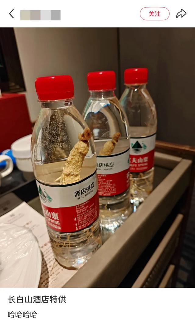 东北旅游，开始流行「命苦三件套」