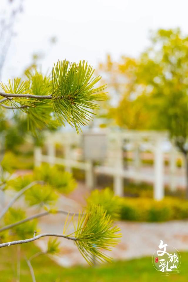 这条「五彩斑斓」的赏秋路线，把秋天都打包给你了！