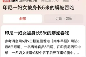 印尼又现蟒蛇吃人事件，一百多斤的活人，它们是怎么做到的呢？图片