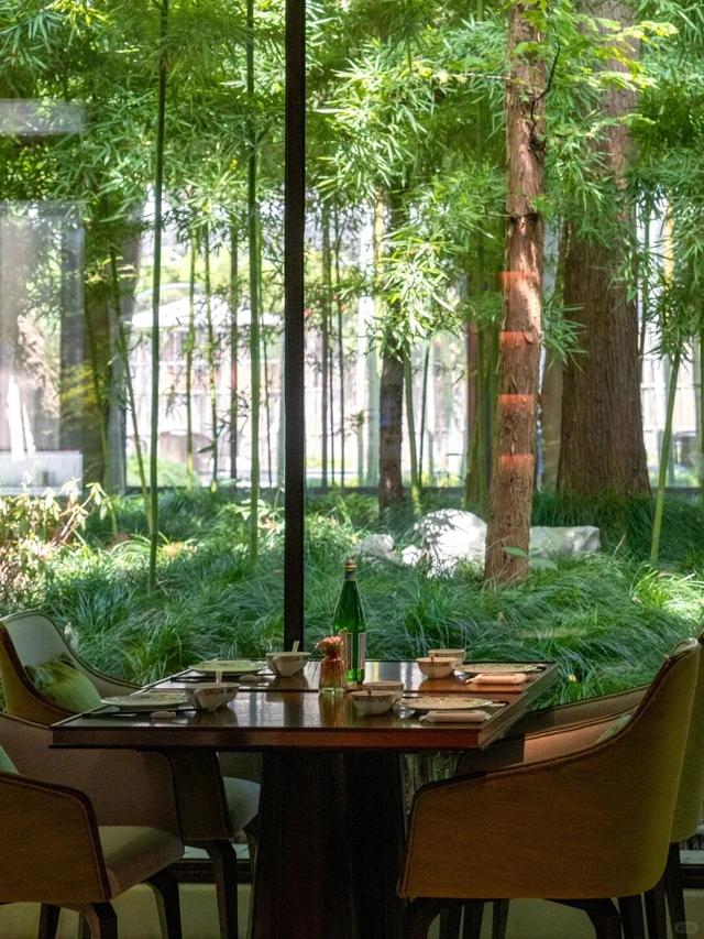 该错峰去乌镇过向往的冬天了