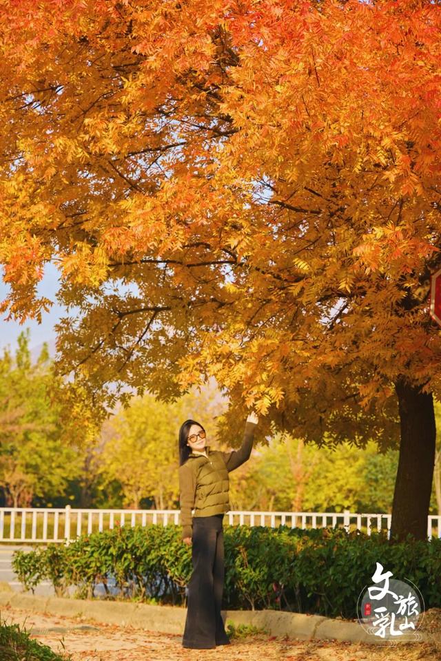 当秋风吻过乳山：一场关于色彩与治愈的漫步指南