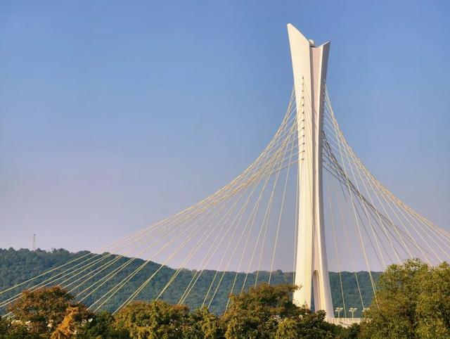 逛起来！8小时10个公园！