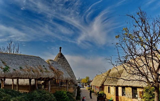 乘高铁看天鹅，还有限时景区优惠！