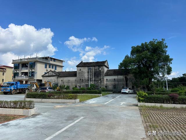 新丰秀田，是来看古树的