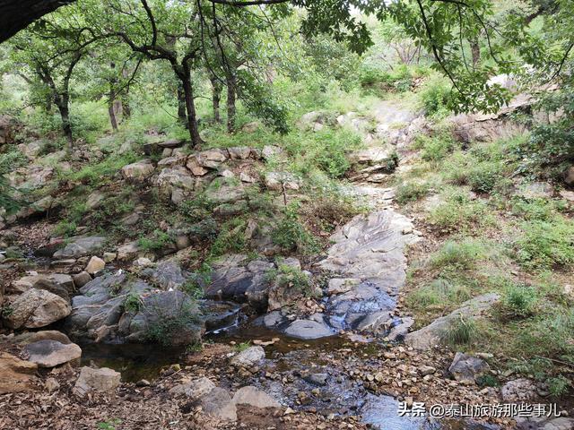 泰安：泰山凌汉峰下有一景点，一井一梅一禅院，两段风云两种修行