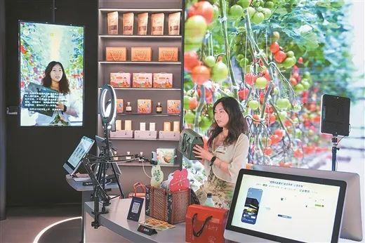 在粤港澳大湾区AI现场＠广西 “湾”有引力，广西是搭便车还是开新路？