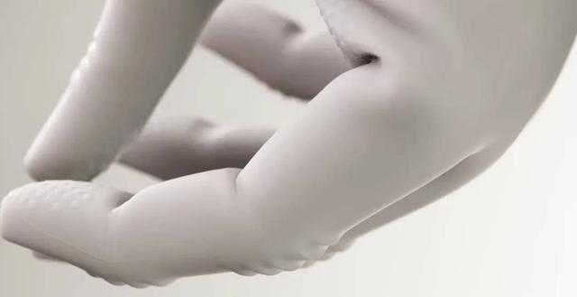 真·首个进家的人形机器人来了！两万美元，开启预定