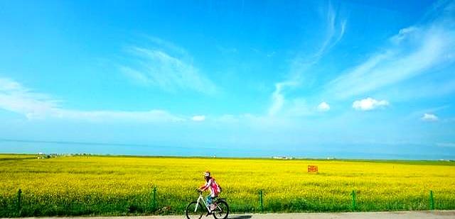 骑行省力的终极密码：别让你的臀部“摸鱼”！