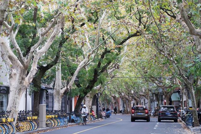 全球最佳城市排名，上海位居第二，第一名你绝对想不到！