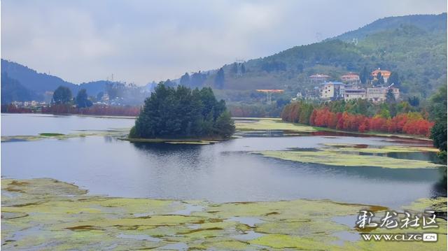 山水入画秋意来