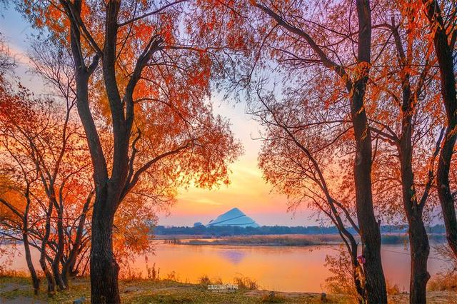 这样的哈尔滨，你见过吗？