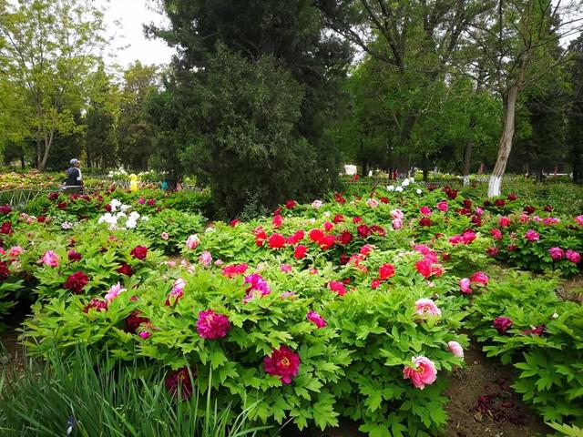 水上公园发布预告