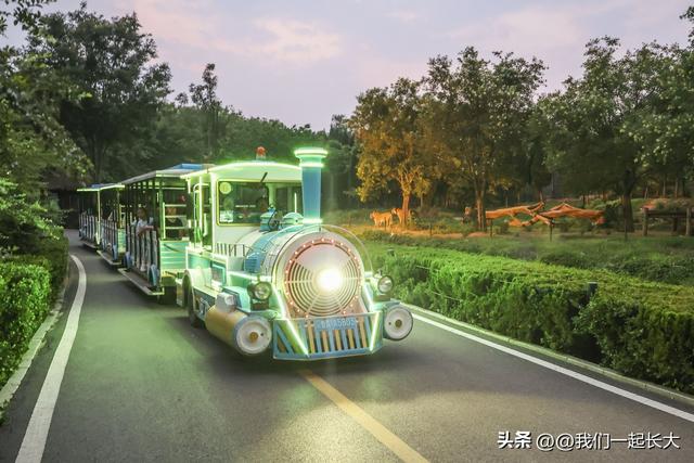 抓住暑假尾巴！济野日夜奇幻狂欢，甜蜜恋爱季点燃盛夏终章