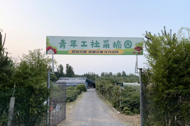 暑假遛娃攻略！淄博这4条宝藏线路，承包夏日快乐清单～