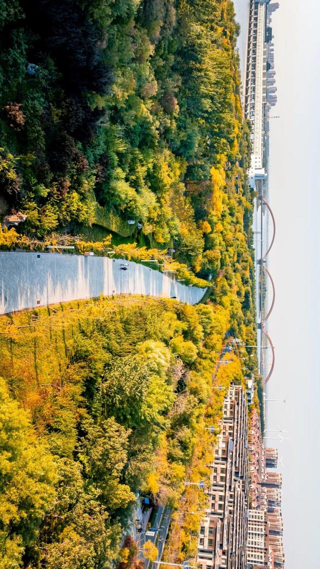 生态城的秋天，已经美得不像样了