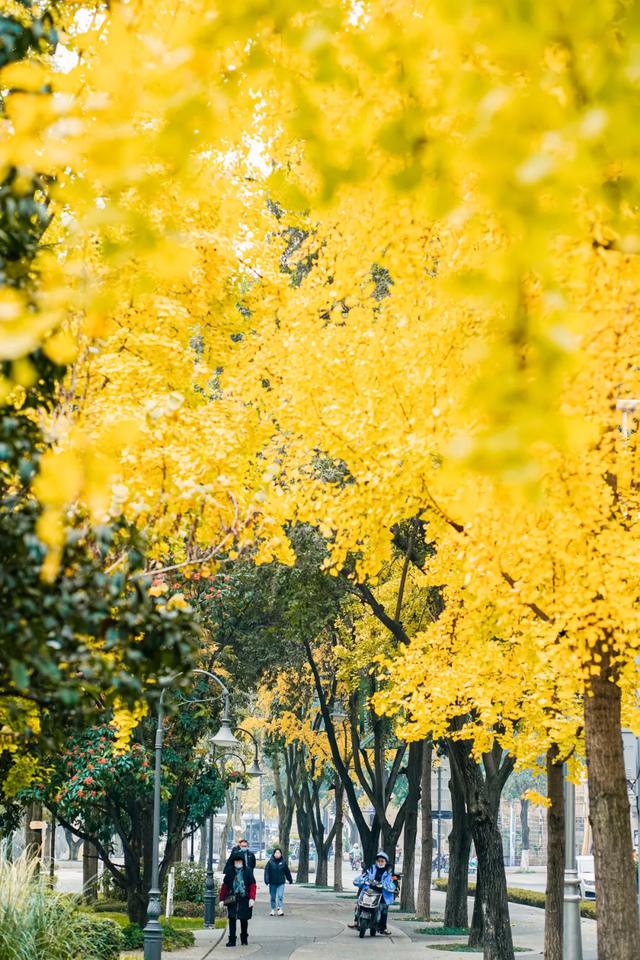 今日大雪 | 打卡这里,定格冬日专属美照
