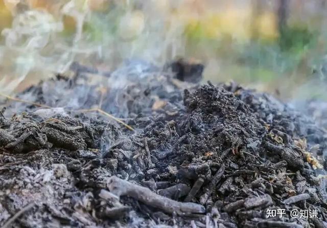 热议丨荒野求生5名选手血钾超标	，这是哪些因素造成的？有何影响