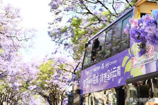 翠湖是个圈•文化圈|用好春城“最大文化IP”打造“文化+”融合发展五华样本