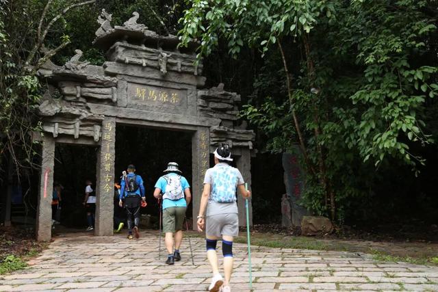 当千年茶马古道成为年轻人的治愈坐标 | 有一种叫云南的生活