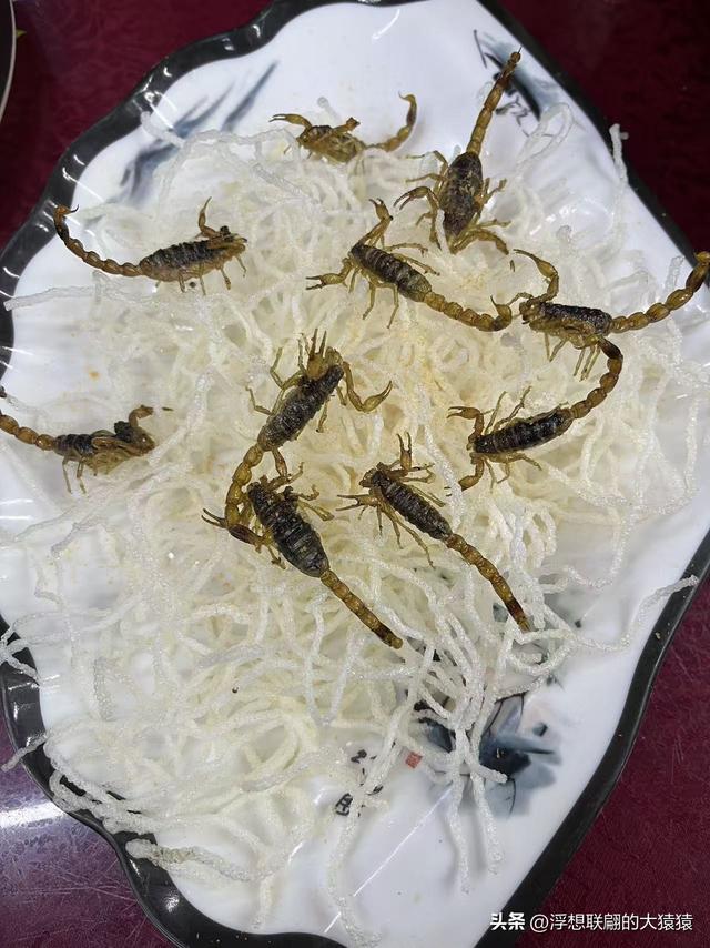 “攻上孟良崮，活捉张灵甫！”——我终于来到了孟良崮战役纪念馆