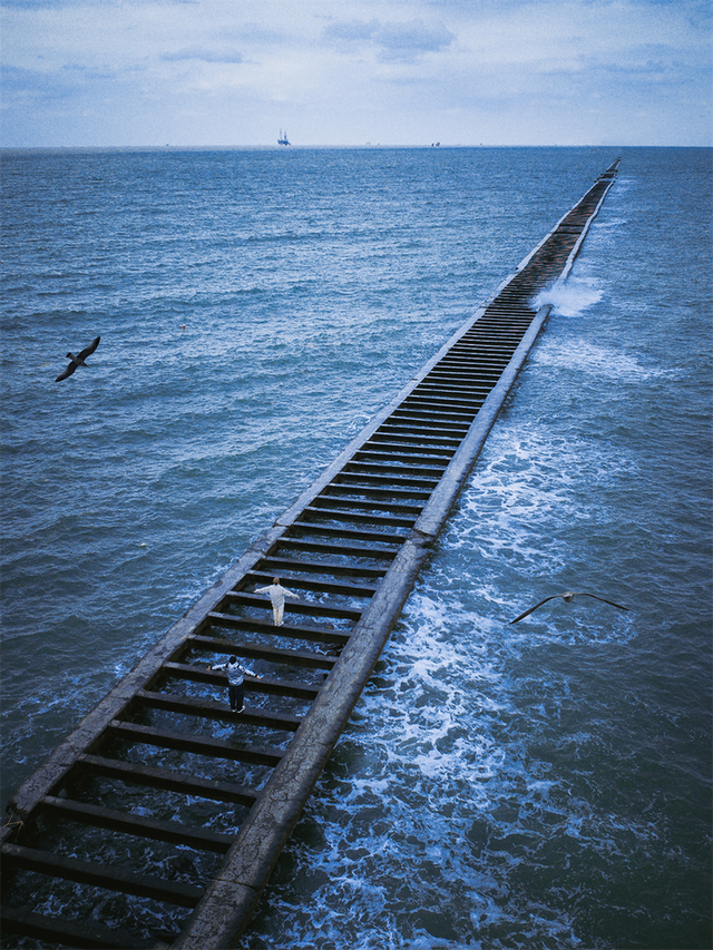 为了这些照片，我专门来了一趟东营！