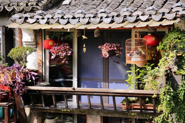 2025“最美小镇”名单公示,上海一处上榜!