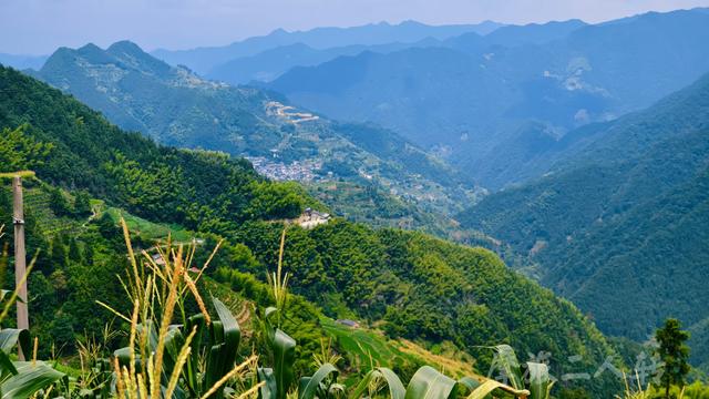 皖浙摩旅二人转——谷丰村篇