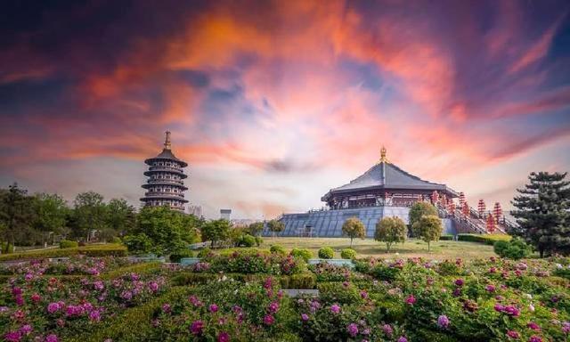 河南大洗牌！洛阳杀疯了一夜爆红！郑州开封集体看懵圈！