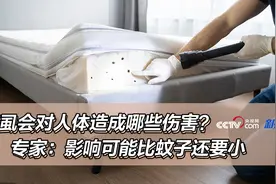 床虱会对人体造成哪些伤害？专家：影响可能比蚊子还要小图片