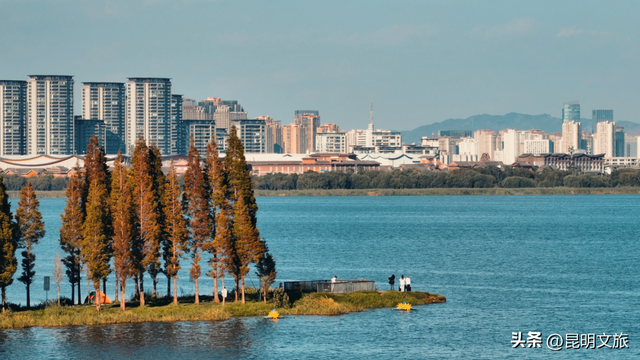 不止大坝！昆明观鸥最全热门+小众点位收录＊附核心区交通指南
