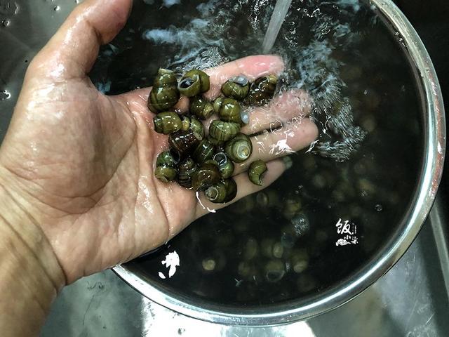 炒好的田螺很难吸出肉？大厨：都做错了，教你正确做法
