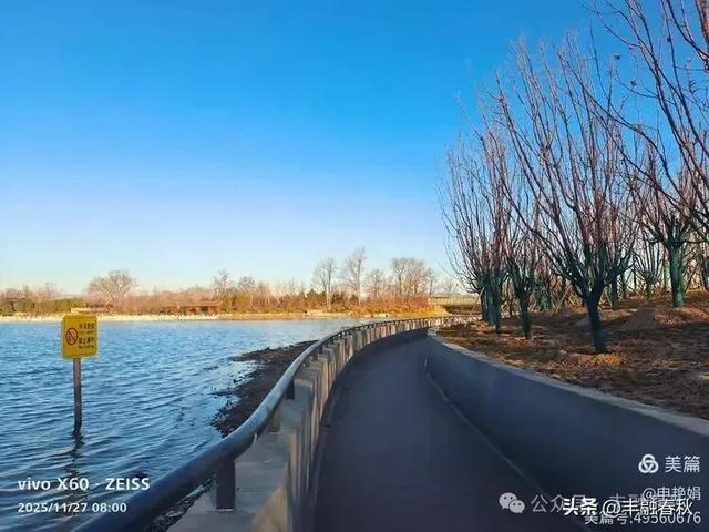 初冬北京玉河湿地公园游记｜申艳娟