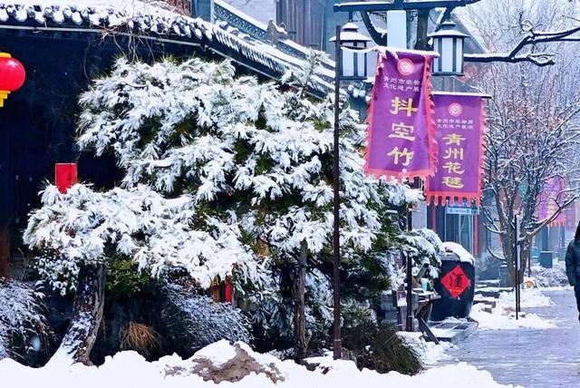 冬天，一定要来一趟潍坊青州！