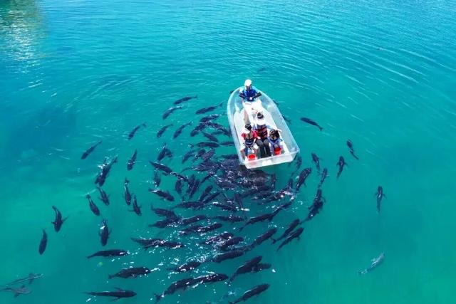 上天入海，动静皆宜的宝藏海岛打卡指南