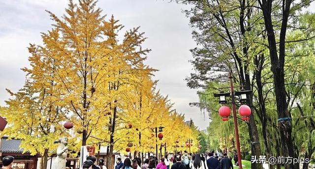 一池秋水作画屏 古典园林映画中