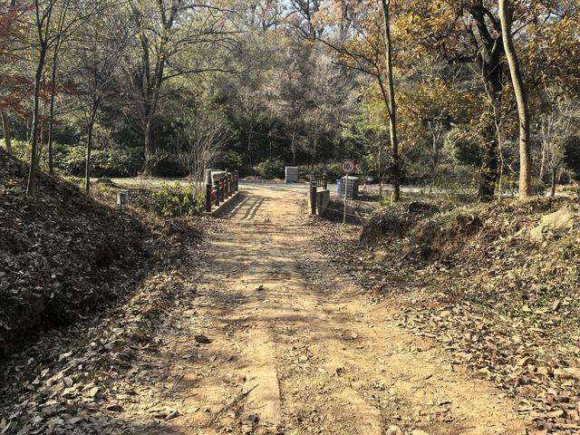 南京老山郊野一日徒步，从狮子岭兜率寺到汤泉惠济寺