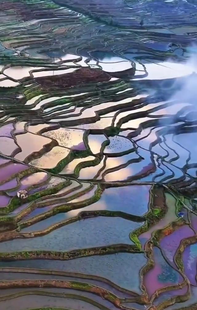 镜映千年元阳哈尼梯田