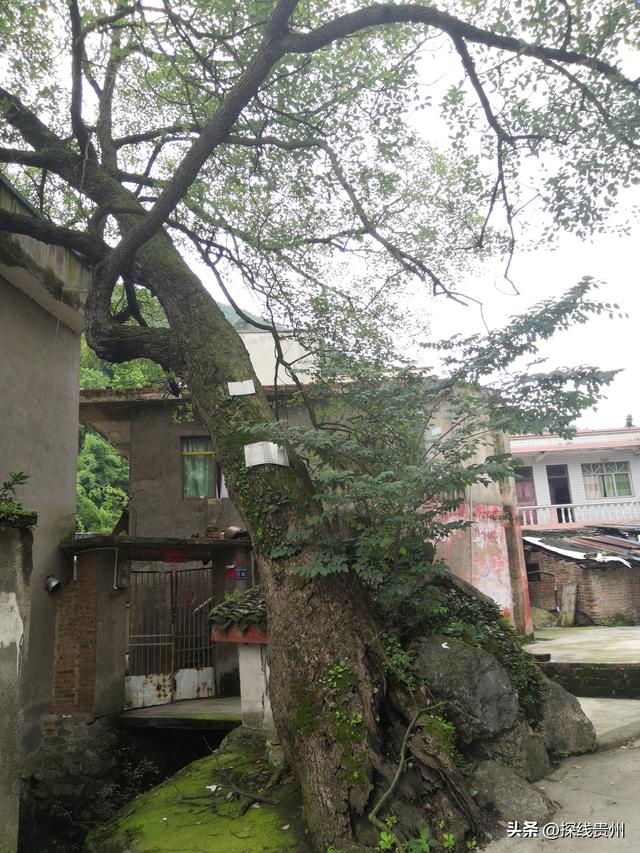 环城贵阳花溪苗王坡越野大环线之青岩段达夯翁拢“冈仁波齐”风景