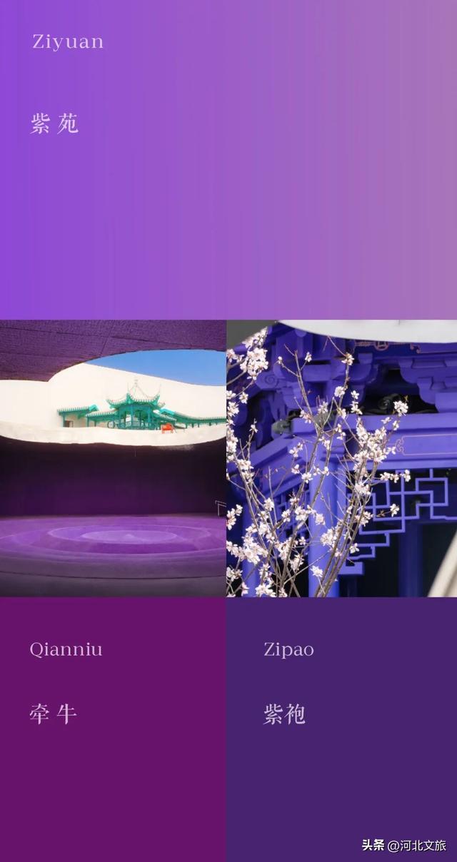 和王潮歌导演一起，走进只有红楼梦，走进当代东方之美