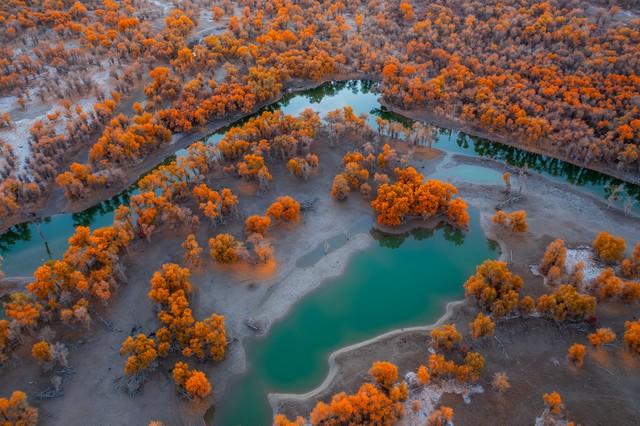 镀了金的新疆秋色，彩色绘就，五处秘境邂逅最诗意的天山南北