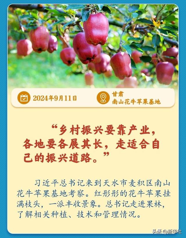 学习新语｜总书记引领推动乡村振兴迈出坚实步伐