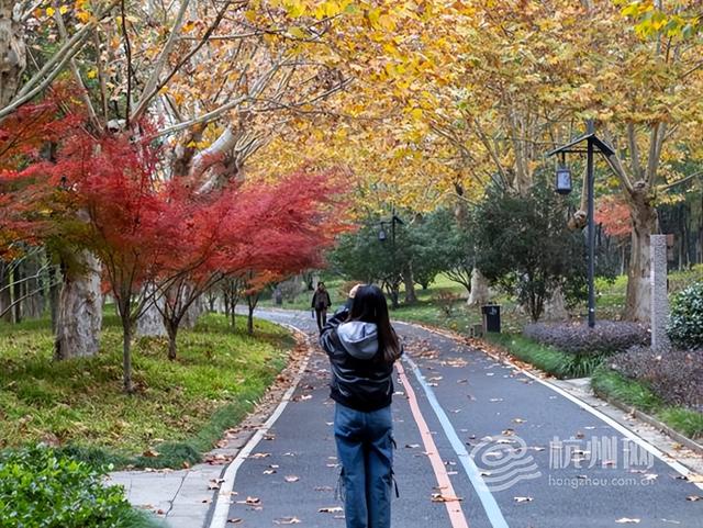 “深秋多巴胺”上新！ 在家门口遛弯就能邂逅莫奈限定版河道美景