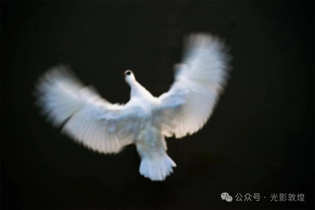 九月：敦煌飞天公园秋色浓
